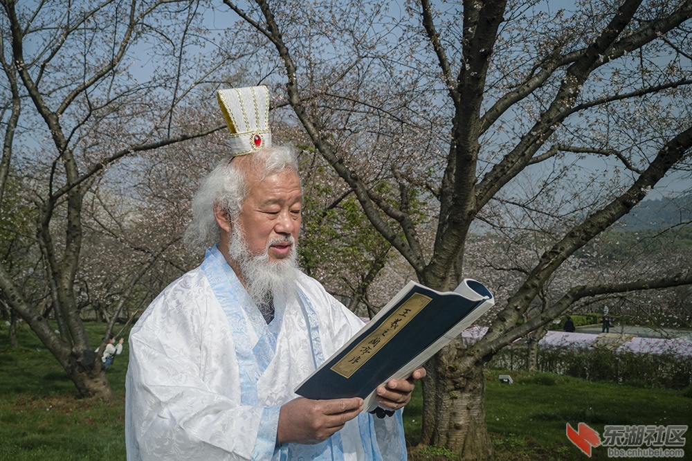 7.武汉樱花 曾院平摄影.jpg