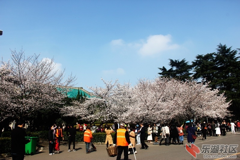 IMG_4028_exposure_调整大小.JPG