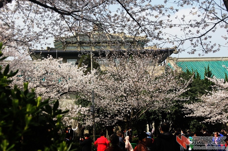 IMG_4051_exposure_调整大小.JPG