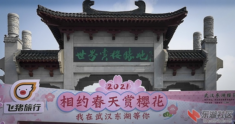 7.东湖樱花广告 曾院平摄影.jpg