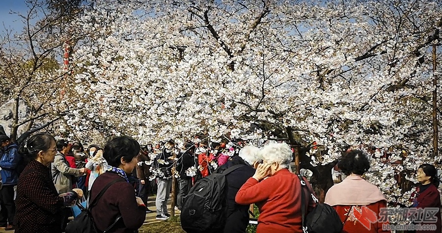 5.游客曾院平摄影.jpg