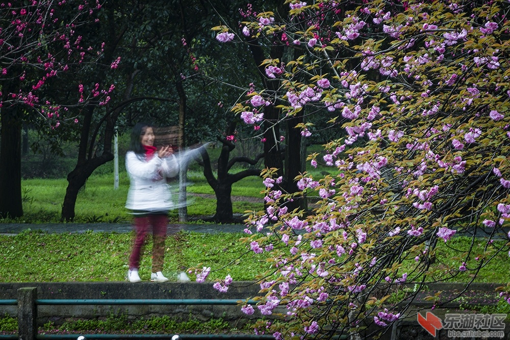 4.花前舞影 曾院平摄影.jpg