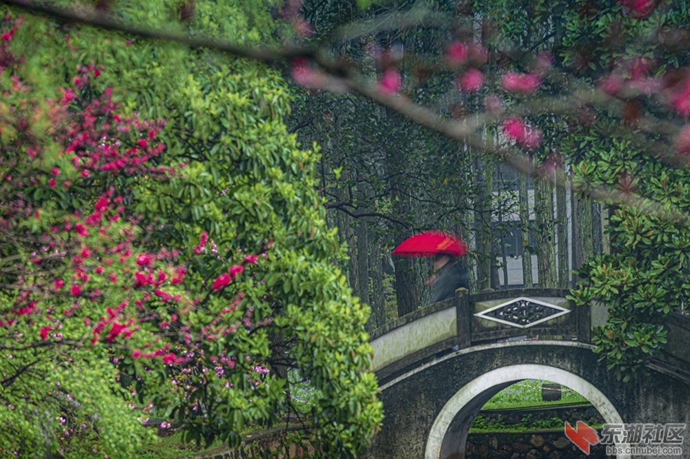 1.一点红曾院平摄影.jpg