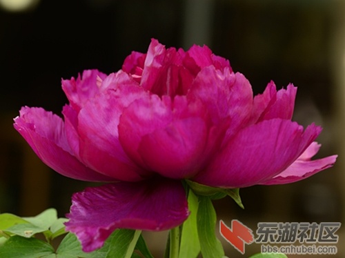 _DSC6879_副本_副本3.jpg