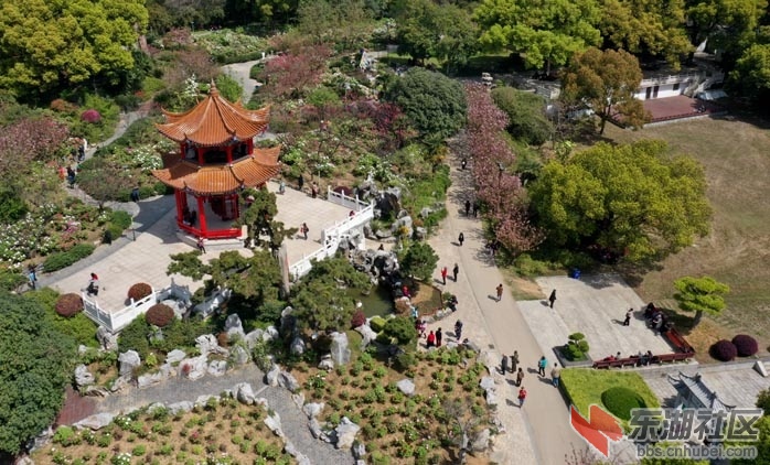 DJI_0399 - 副本.JPG