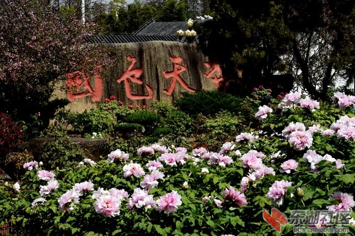 DSC_0713 - 副本.JPG
