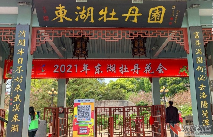 东湖牡丹05.jpg