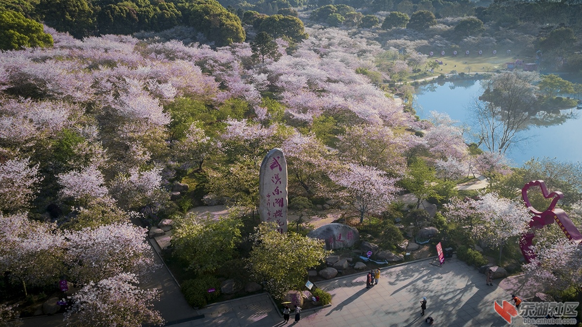 东湖樱园入口 曾院平摄影.jpg