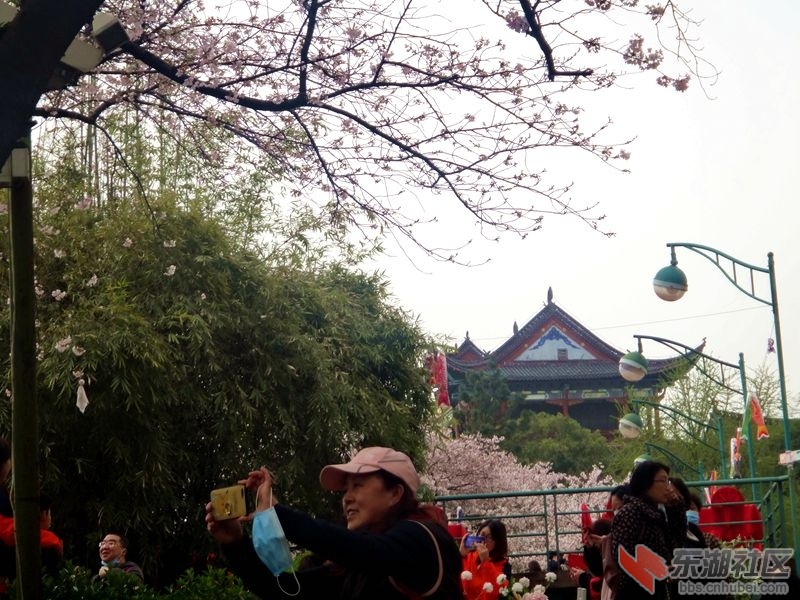 DSC02353_副本.jpg