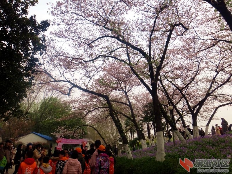 DSC02355_副本.jpg