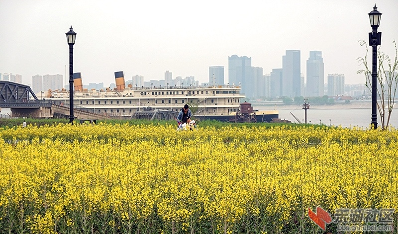 8    DSC02710_副本.jpg
