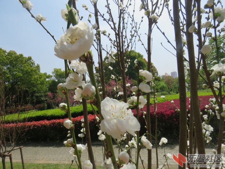 IMG_8260.JPG