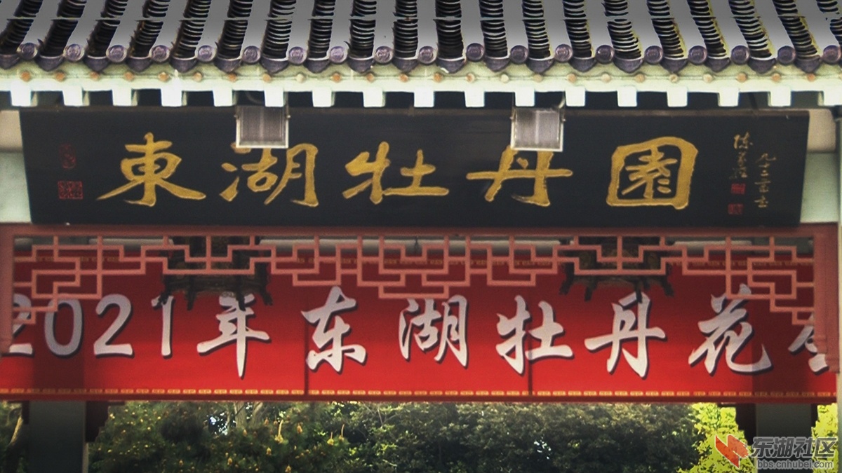 15.武汉牡丹花香惹人醉 曾院平摄影.jpg