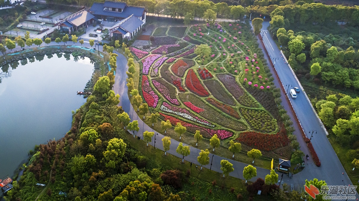 5.东湖绿道花园景点曾院平摄影.jpg