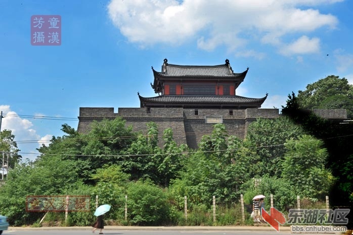 DSC_8552 - 副本.JPG