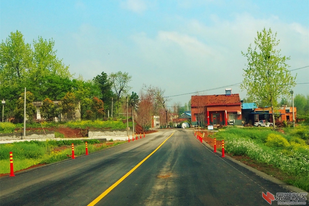 P4083411.jpg