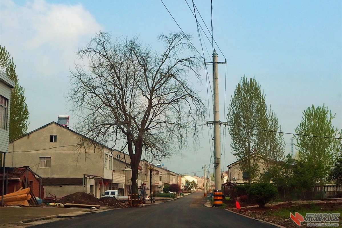 P4083442.jpg