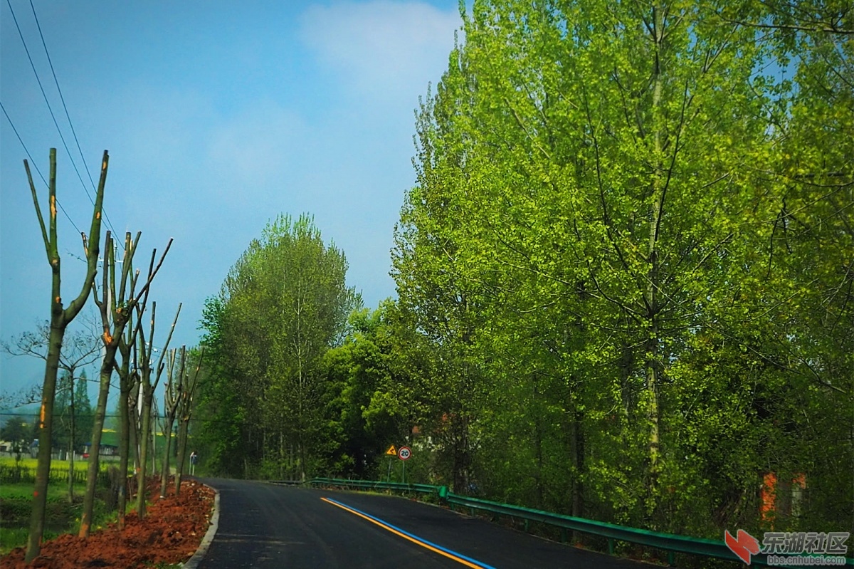 P4083477.jpg