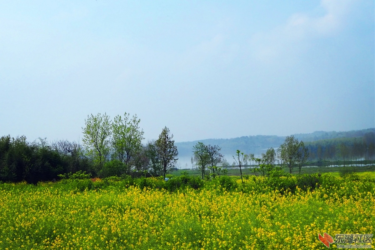 P4083503.jpg