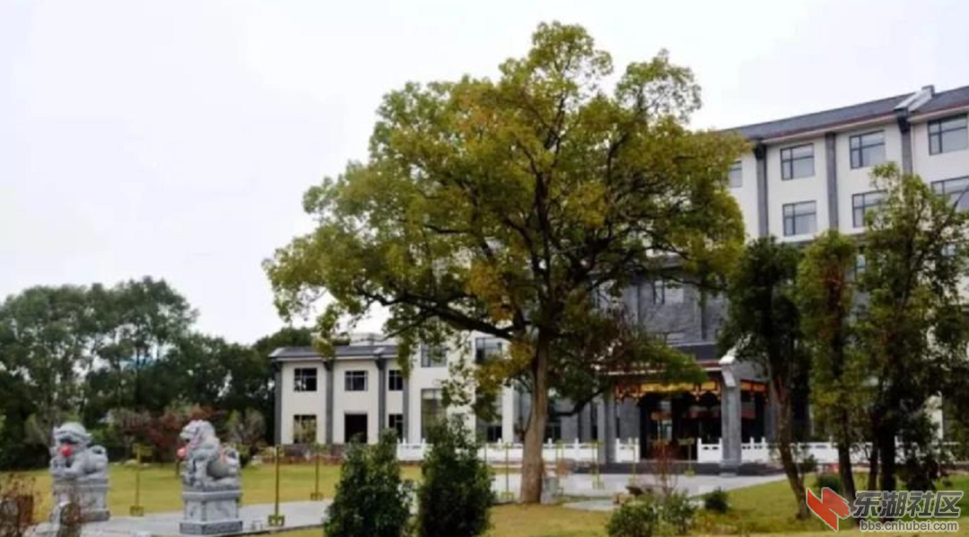 一点小建议：推进梅川水库水利风景区生态旅游发展势在必行