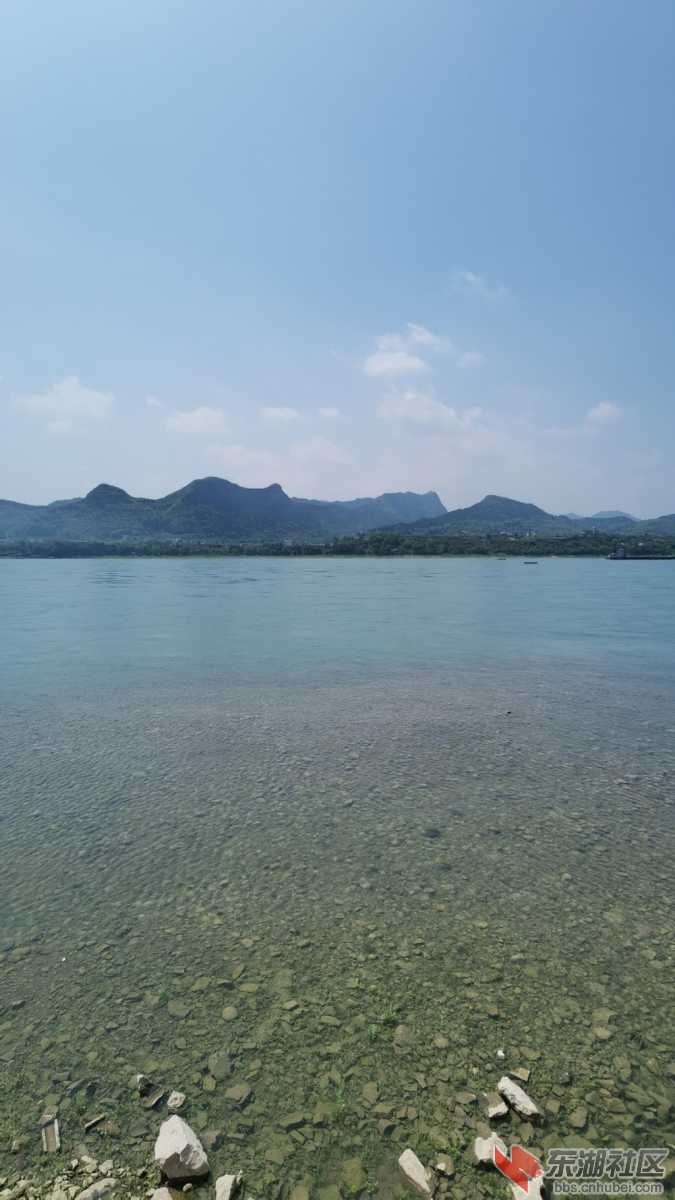 IMG_20210412_122313.jpg