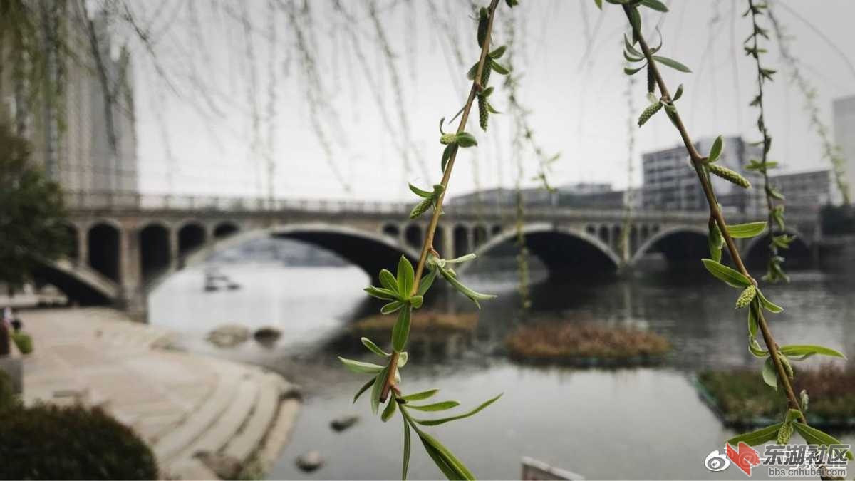 C3C82CEB-A10D-4C83-9A31-167AECA73F97.jpeg