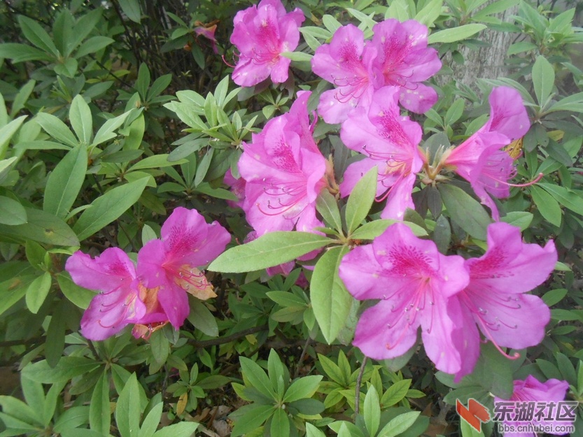 DSCN6108.JPG