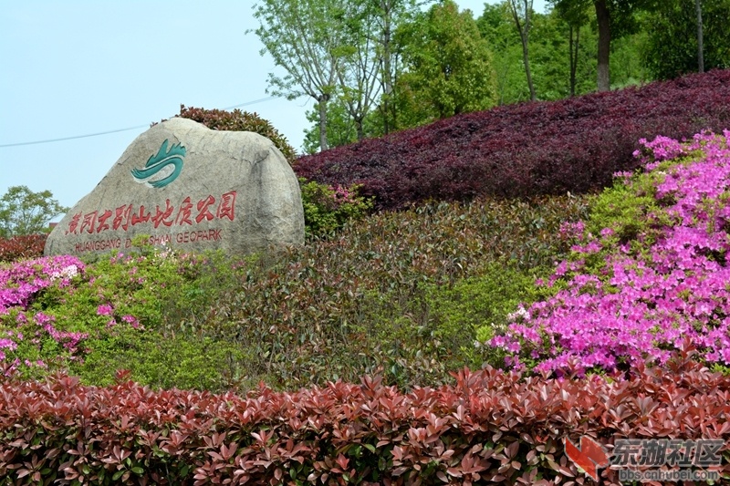 DSC_0116_副本.jpg