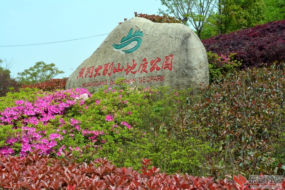 DSC_0117_副本.jpg