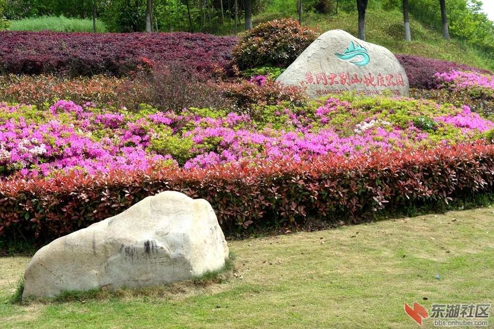 DSC_0118_副本.jpg