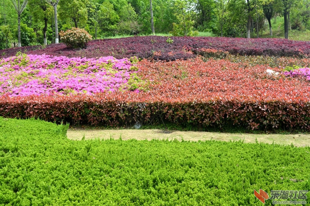 DSC_0119_副本.jpg