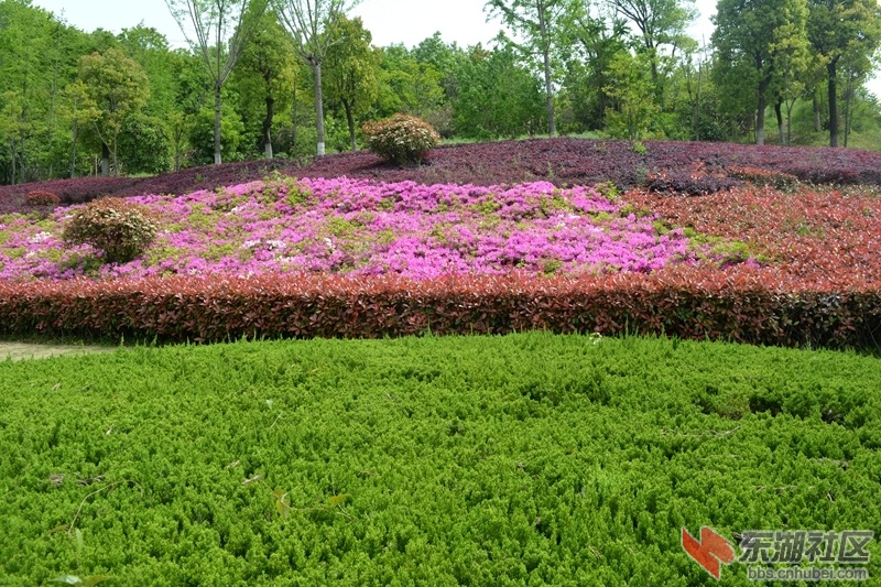 DSC_0120_副本.jpg