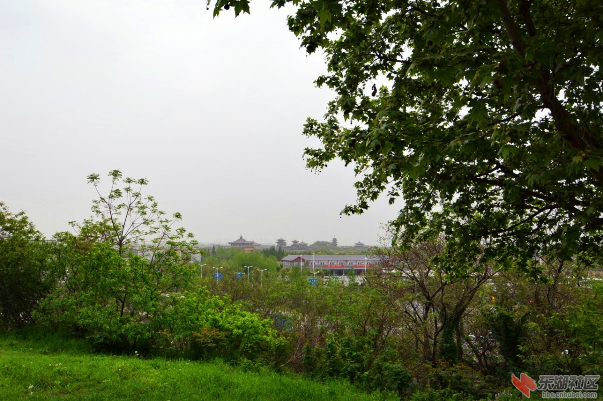 DSC_6501.jpg