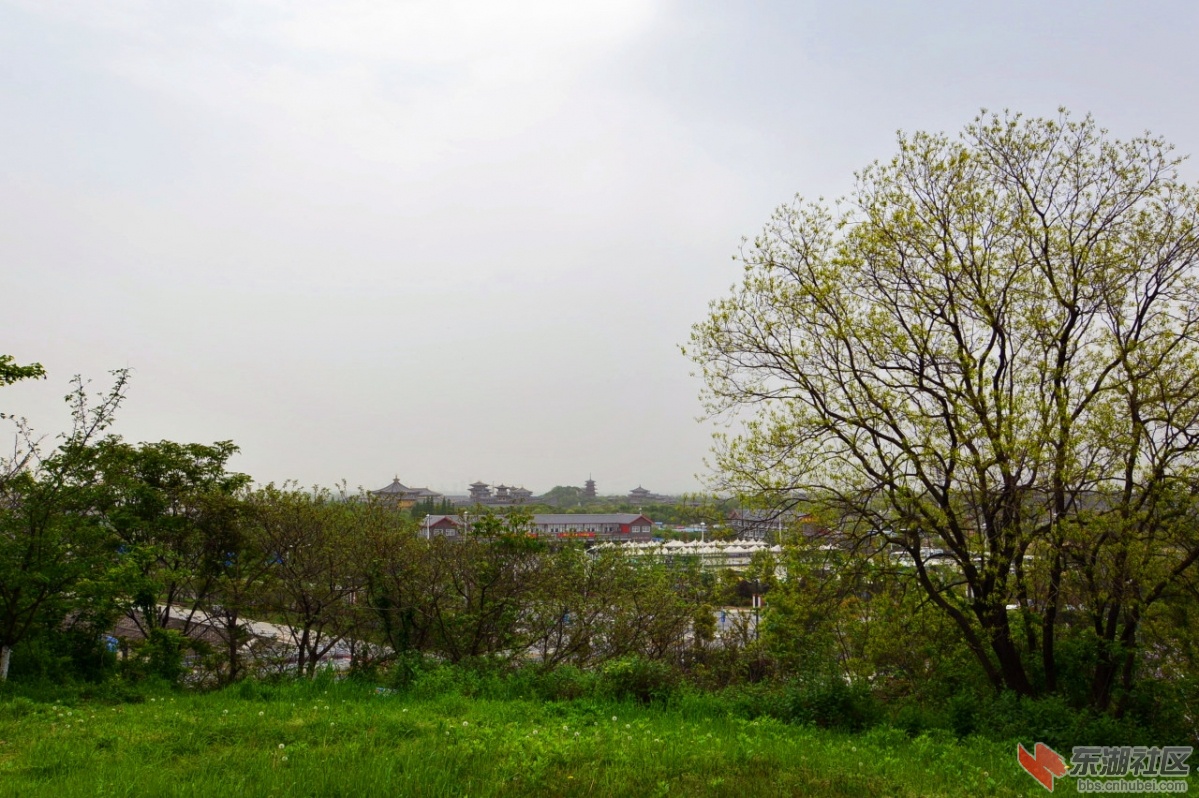 DSC_6505.jpg