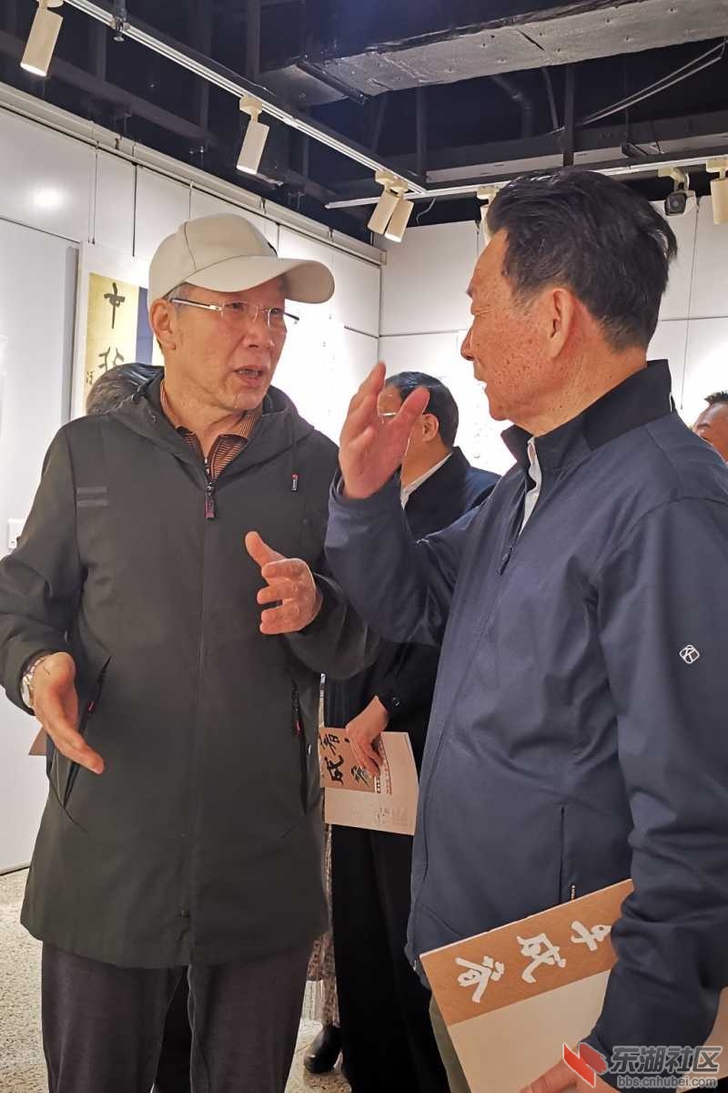 著手成春熊志成丁春阳书法作品展4月28日在武汉图书馆开幕