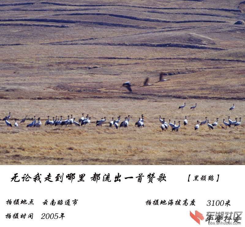 597-1.jpg