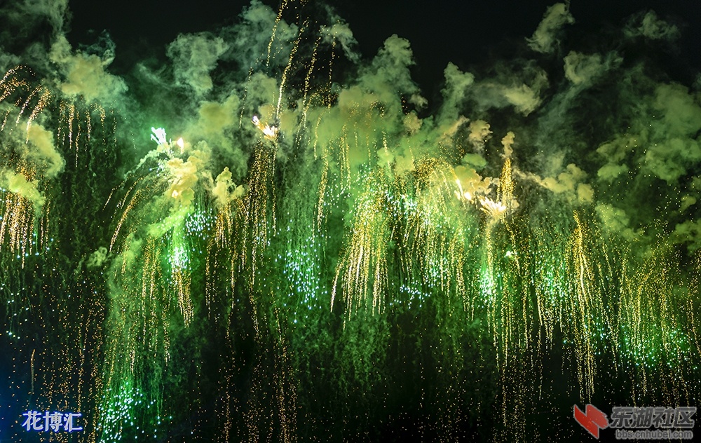 5..武汉“焰遇•花博汇” 曾院平摄影.jpg