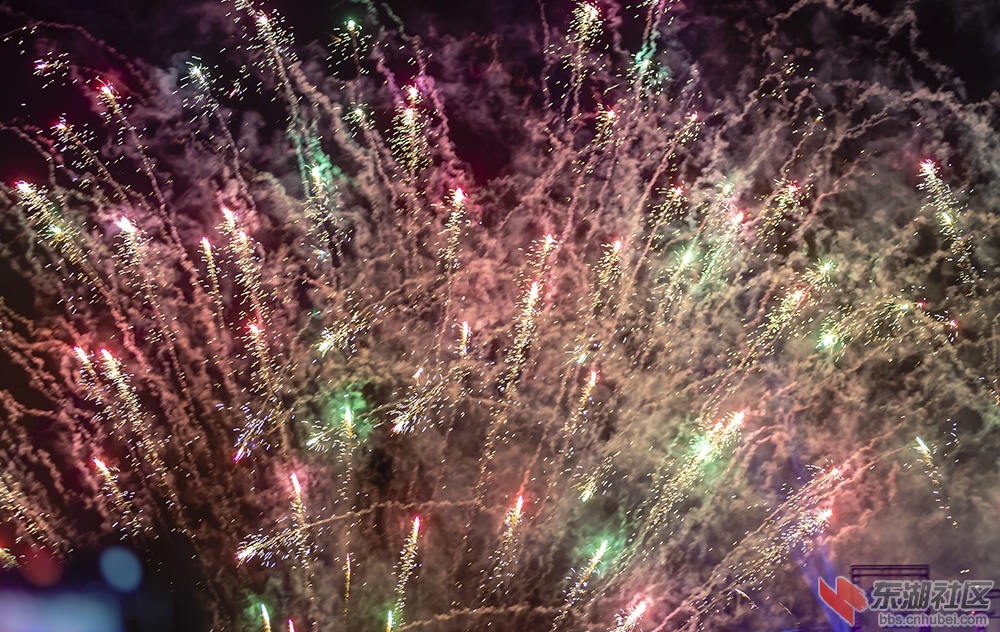 12.武汉“焰遇•花博汇” 曾院平摄影.jpg