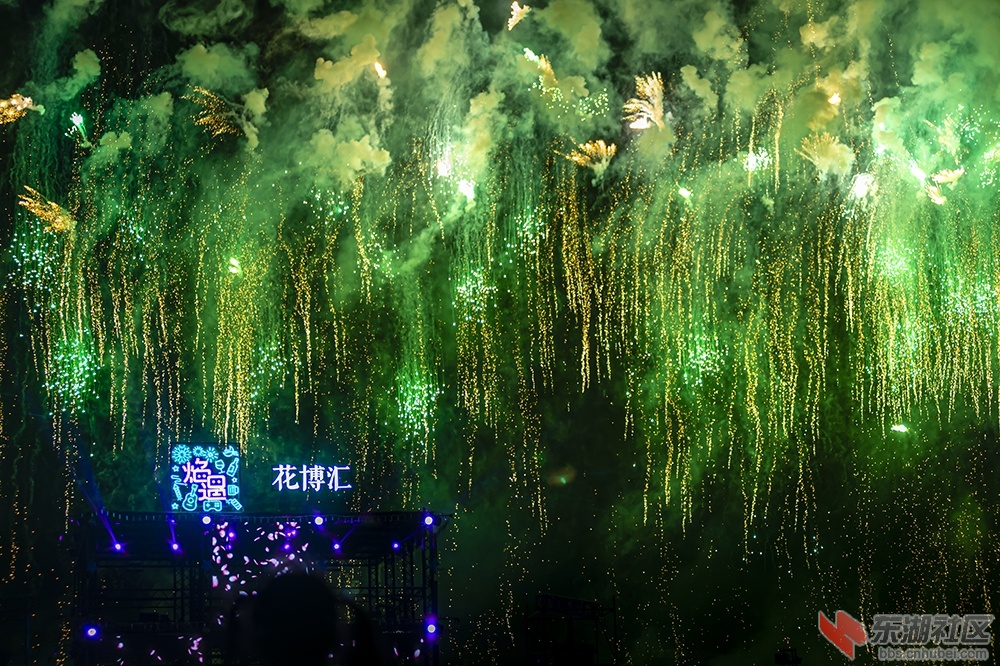 7.武汉“焰遇•花博汇” 曾院平摄影.jpg