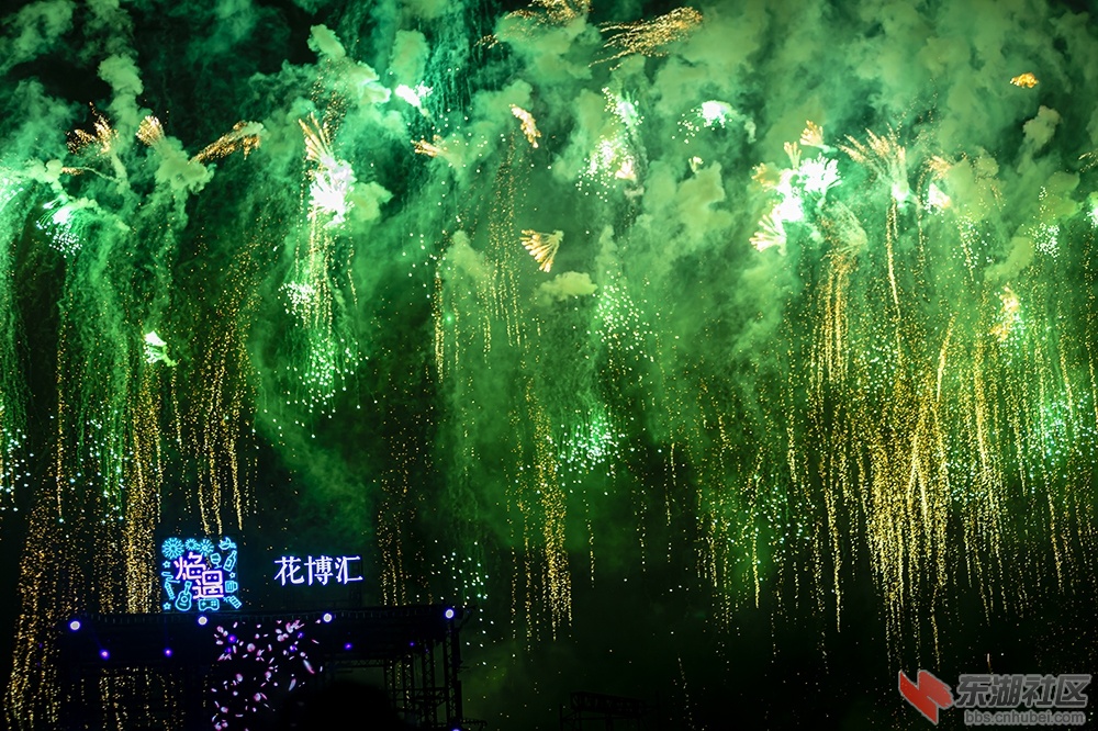 1.武汉“焰遇•花博汇” 曾院平摄影.jpg