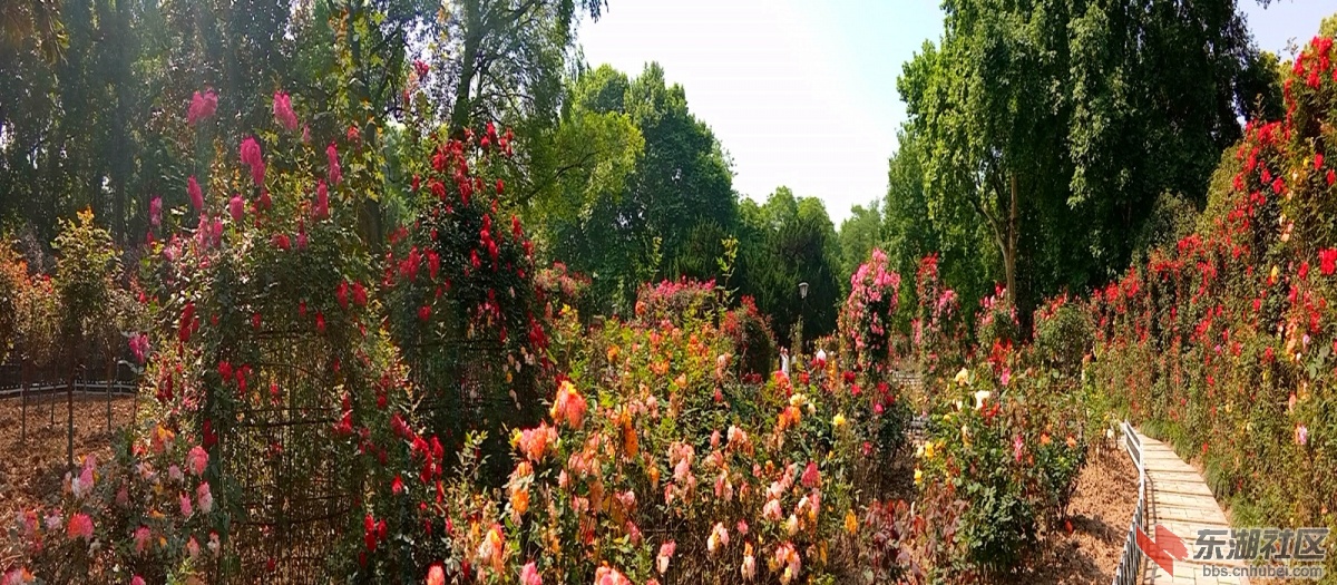 IMG_20210502_095138_副本.jpg