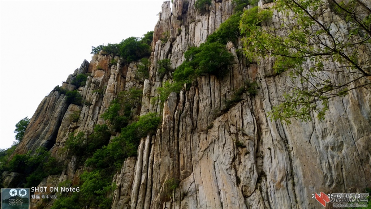 P10502-074914.jpg