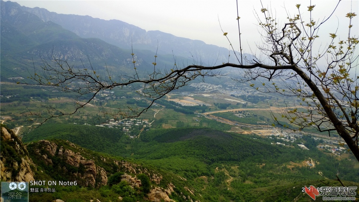 P10502-112127.jpg