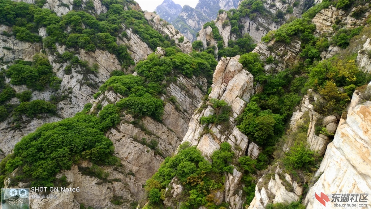 P10502-120102.jpg