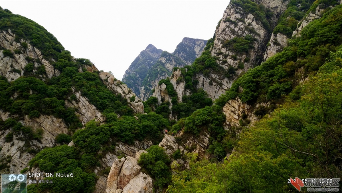 P10502-130653.jpg