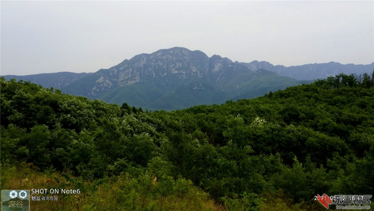 P10502-164737.jpg