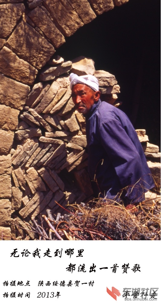681 (225).jpg