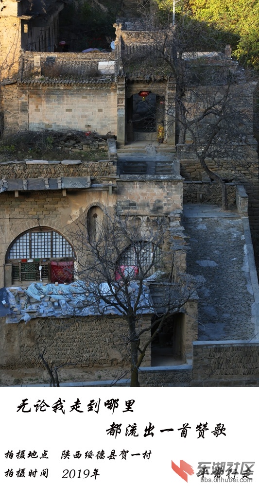 681 (221)-6.jpg