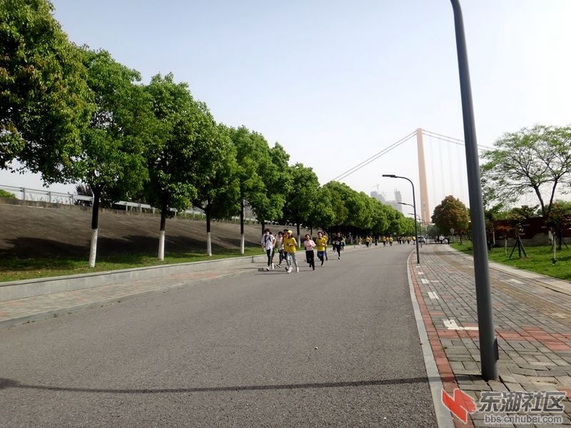 DSC02501_副本_副本.jpg