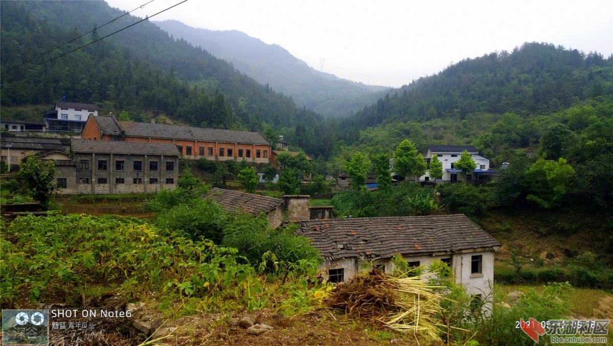 P10512-091653.jpg